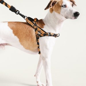 Zeedog Farm Bananas Softer Walk S