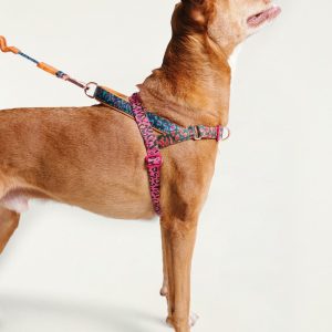 Zeedog Farm Onca Softer Walk M