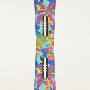 Blue Macaw Snowboard